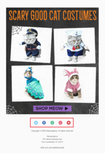 Meowingtons Halloween email campaign example