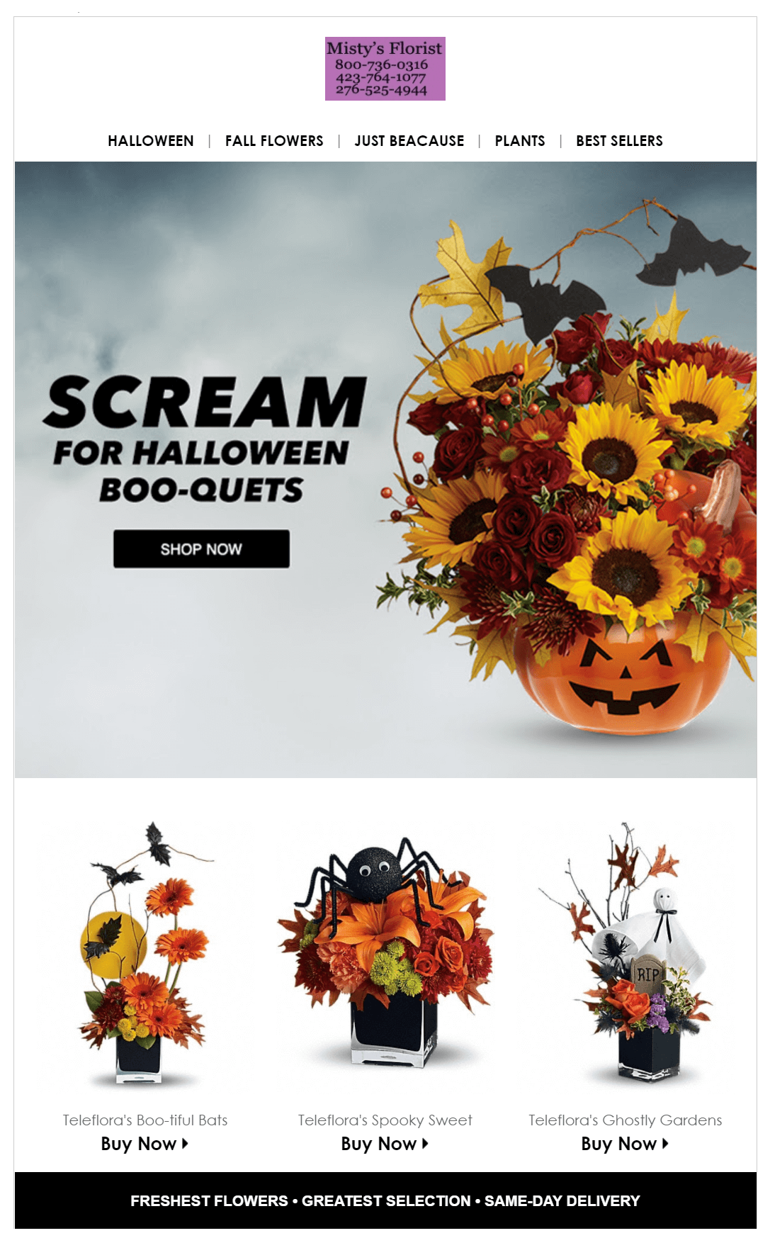 mistys florist halloween email marketing example