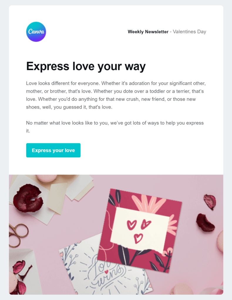 Canva email newsletter eample