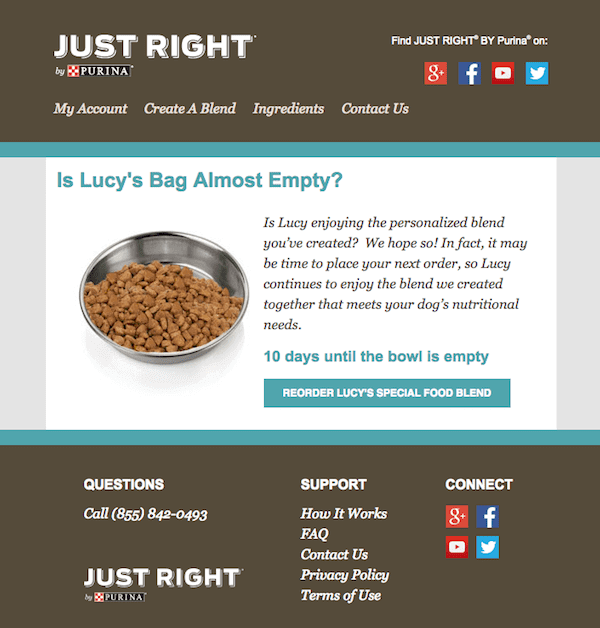 Purina replenishment email example