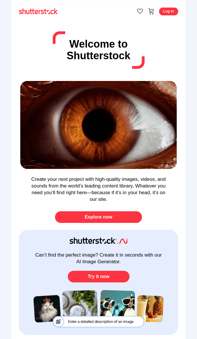 shutterstock email marketing campaign