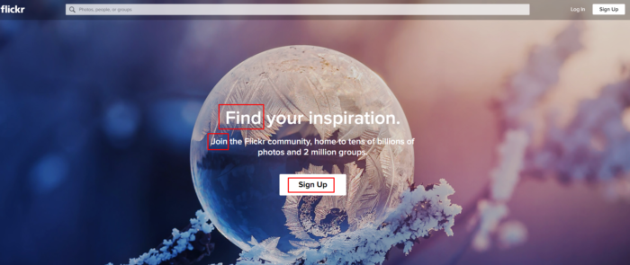 flickr lead gen landing page