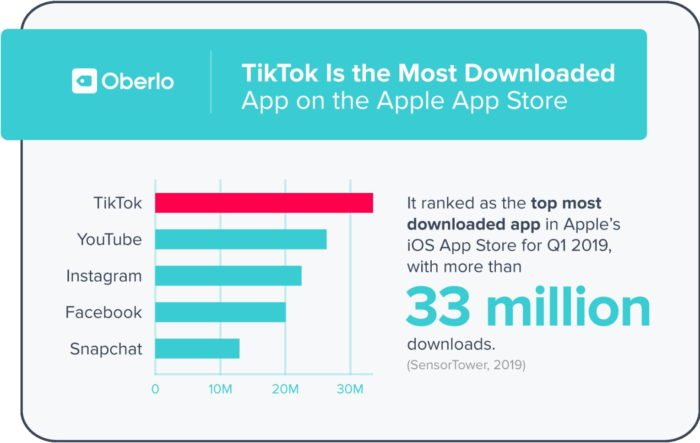 tiktok statistics