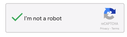 web form design reCAPTCHA success