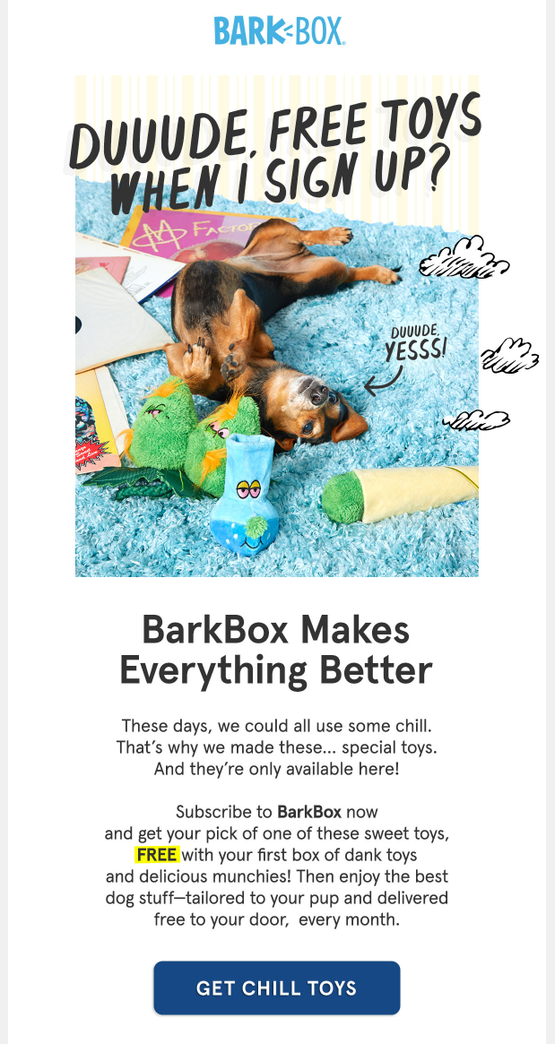 barkbox newsletter with illustrations