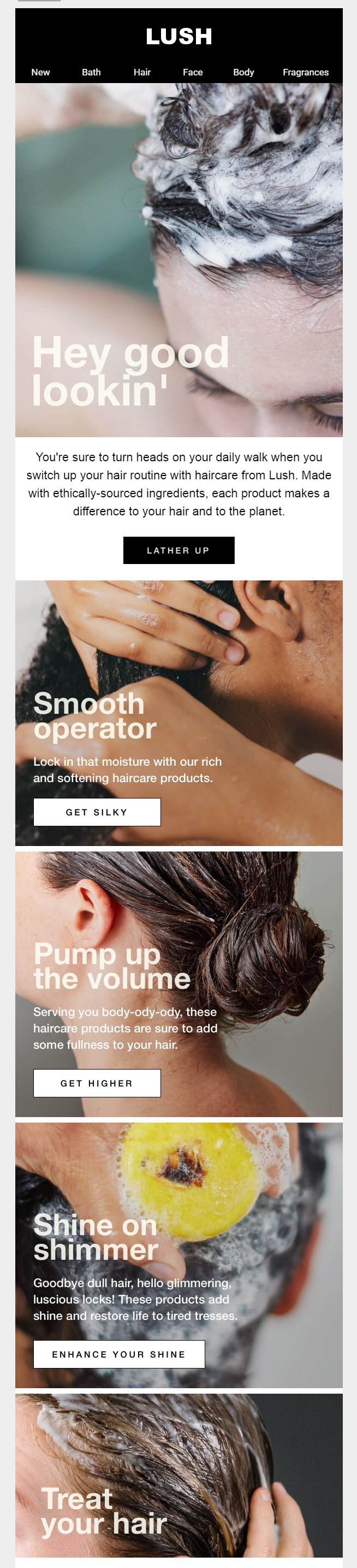 lush example newsletter email