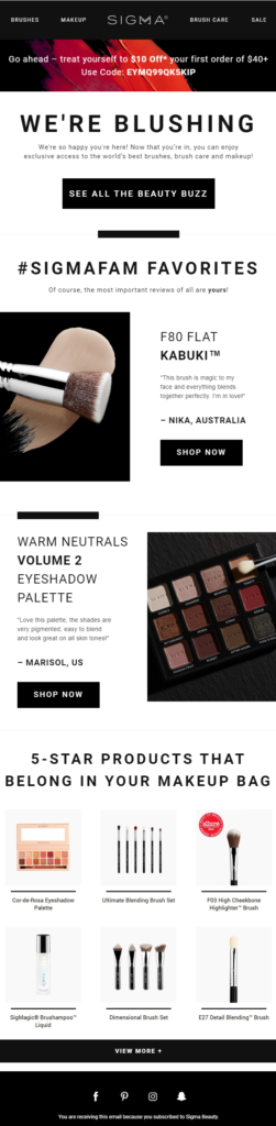 ecommerce email marketing campaign example sigma beauty