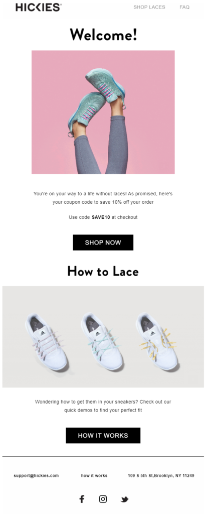 ecommerce email marketing campaign example hickies