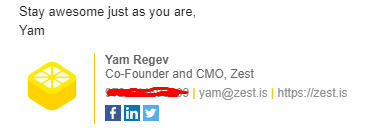 zestis email salutation