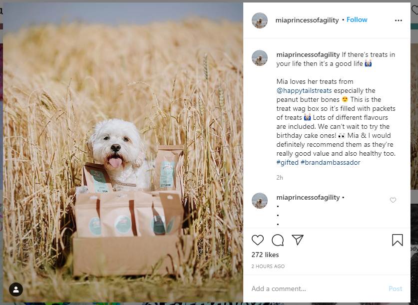 instagram influencer brand ambassador 