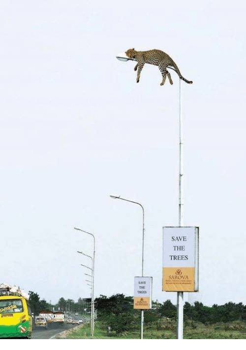 In this picture Sarova Hotels came up with a creative guerilla marketing idea to boost awareness about wildlife