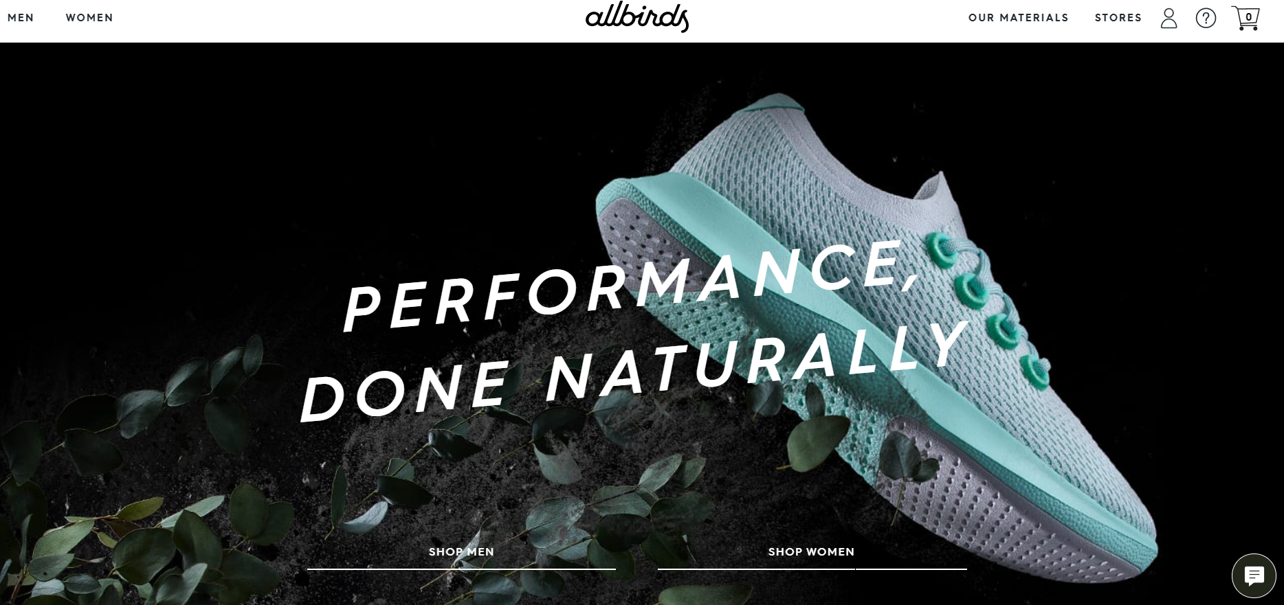 top shopify store example by Allbirds