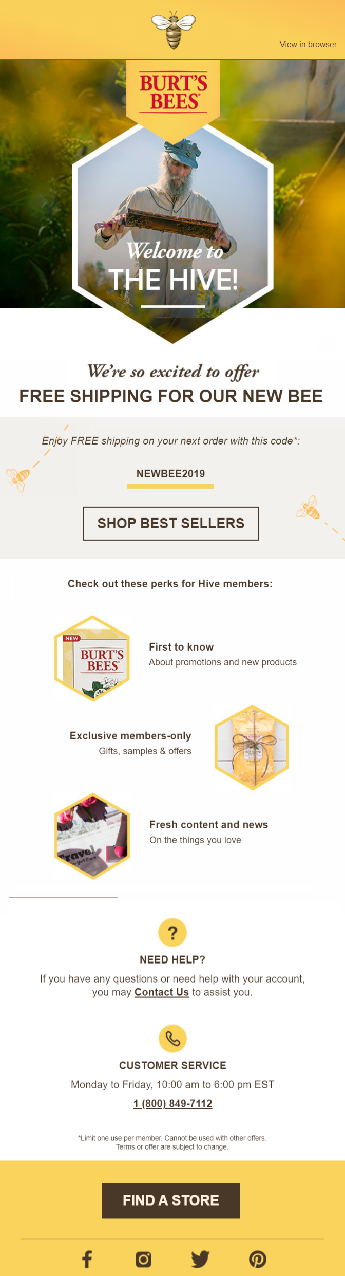 burt's bees campaign for welcoming subscribers