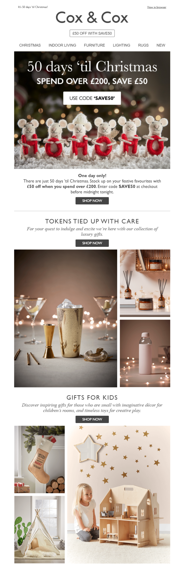 20 Christmas Email Marketing Examples & Quick Guide [2024]