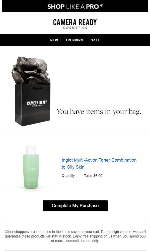 camera ready cosmetics cart abandonement email example
