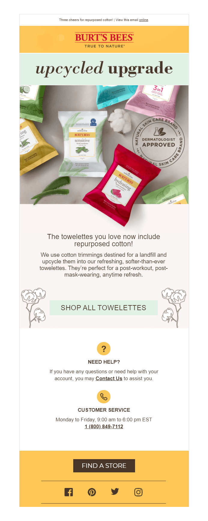 Burt's Bees branded email marketing campaign