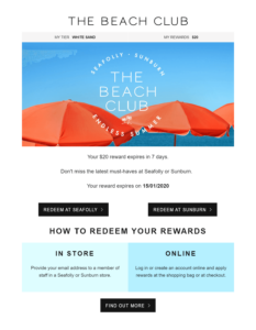 discount Shopify email example