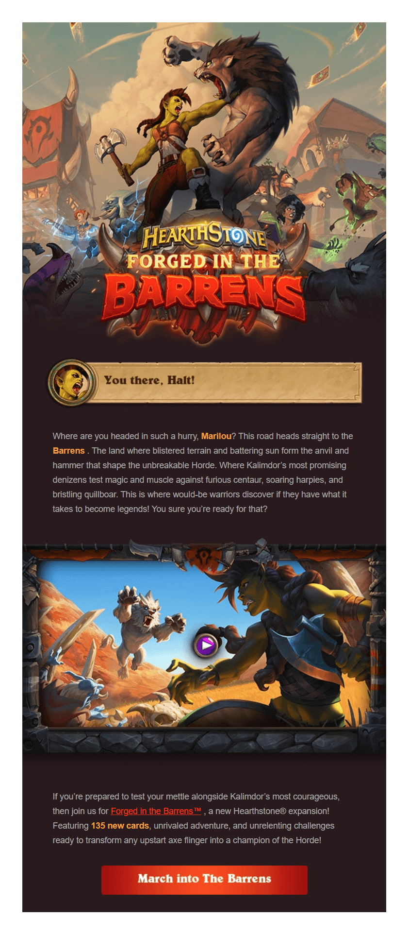 blizzared branded email campaign example