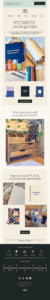 segmented email campaign example 