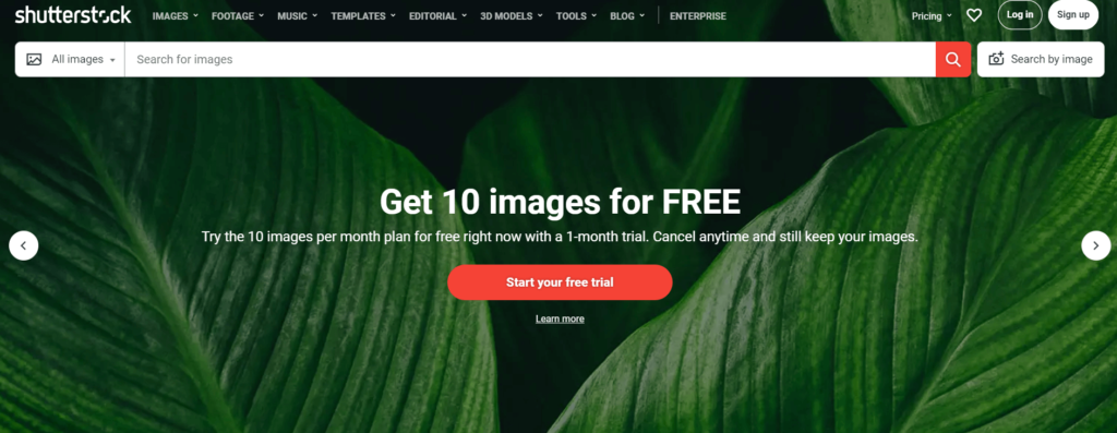 16 Best Stock Photo Sites in 2024 [Free & Paid]