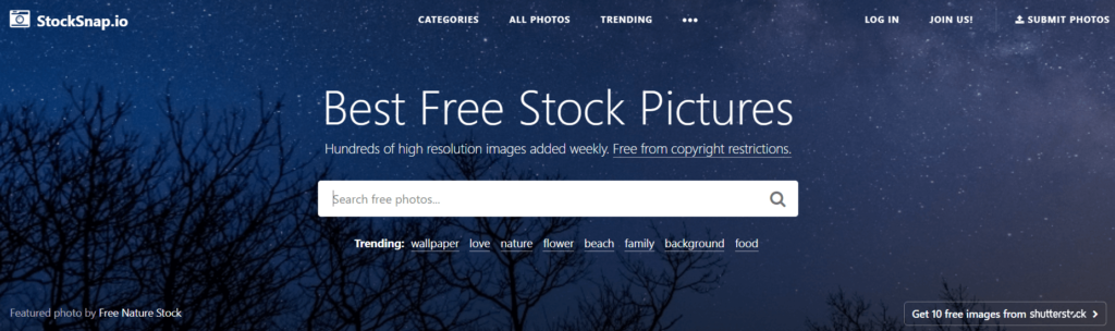 16 Best Stock Photo Sites in 2024 [Free & Paid]