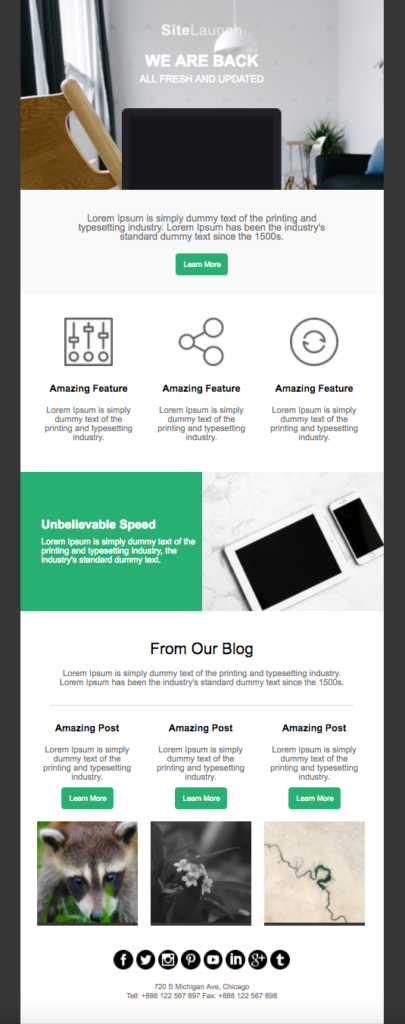 website launch newsletter template