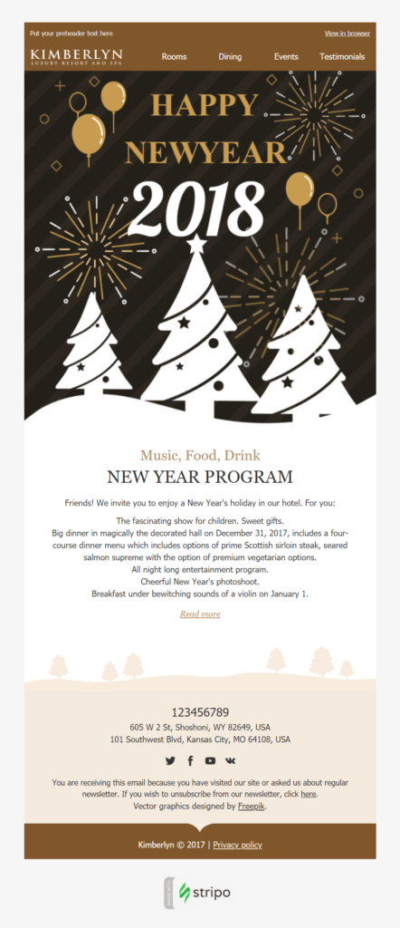 New Year email newsletter template by Stripo