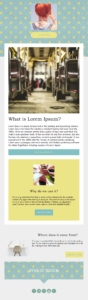 personal blog email template