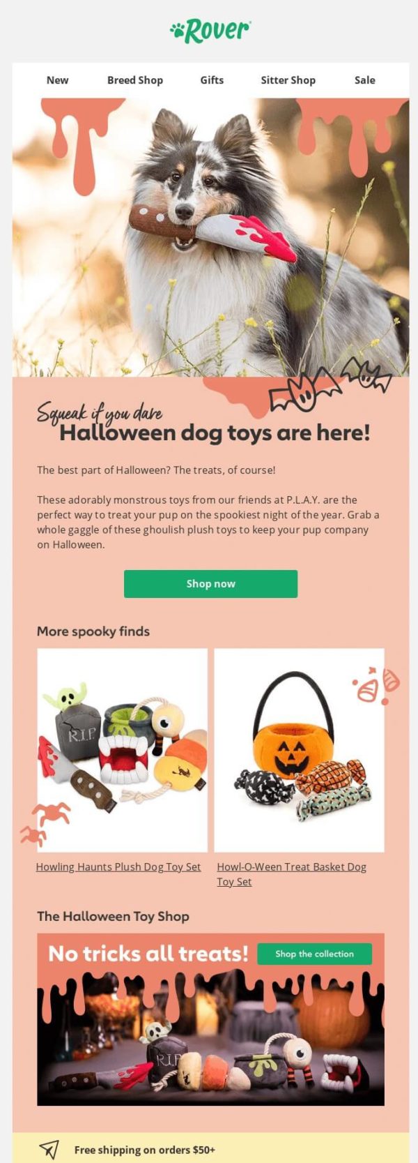 Halloween email campaign by Rover