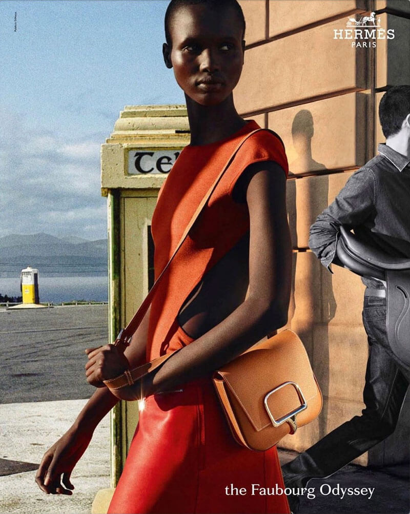 Hermes campaign