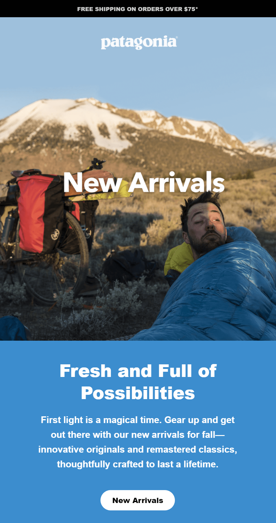 patagonia email marketing example