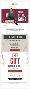 Tone It Up Black Friday email campaign