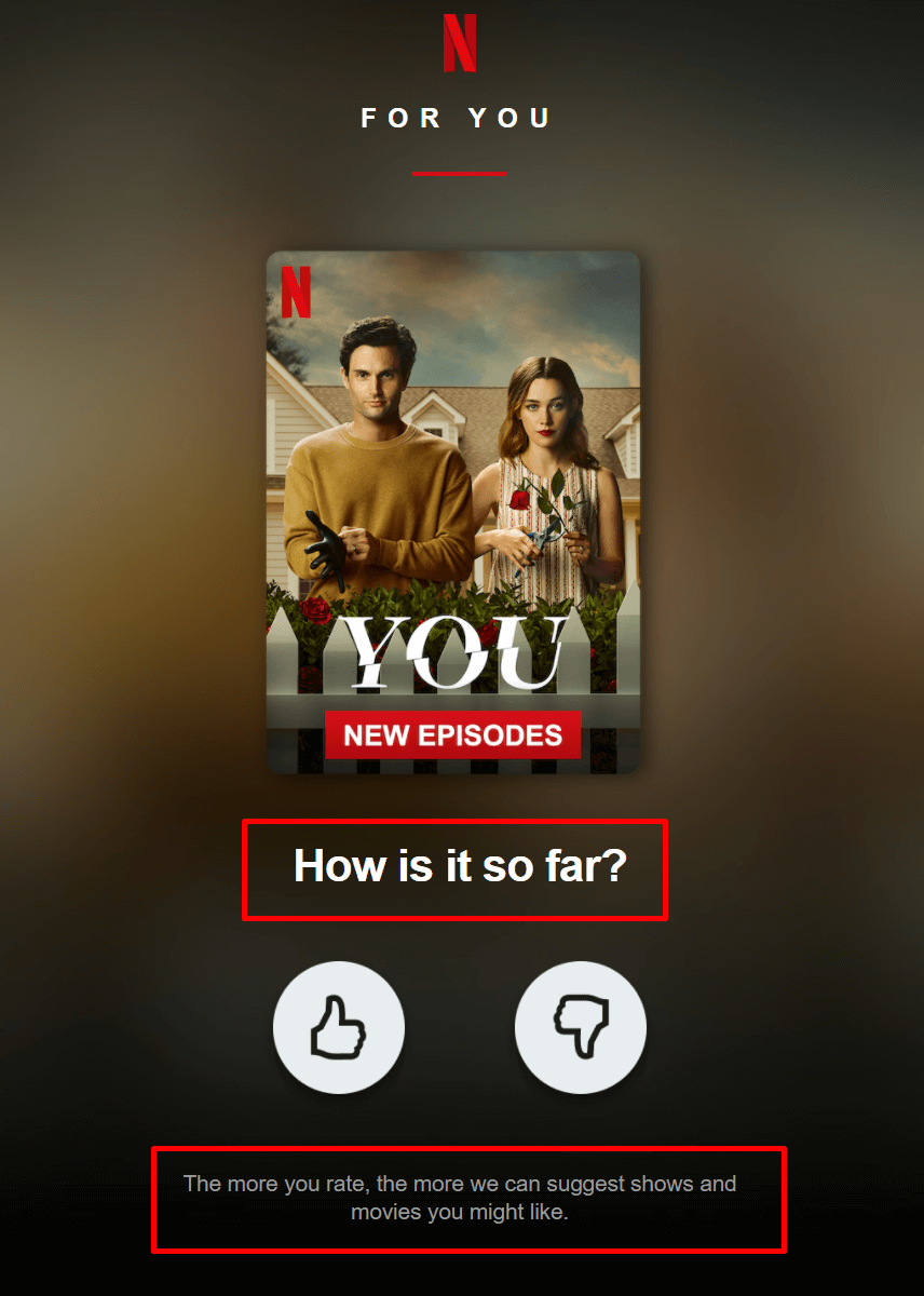 netflix sans custom typeface