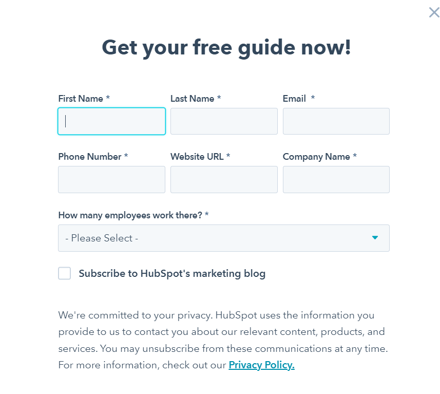 Online form by Hubspot