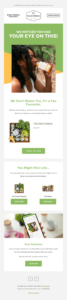abandoned cart email example by Pulp & Press