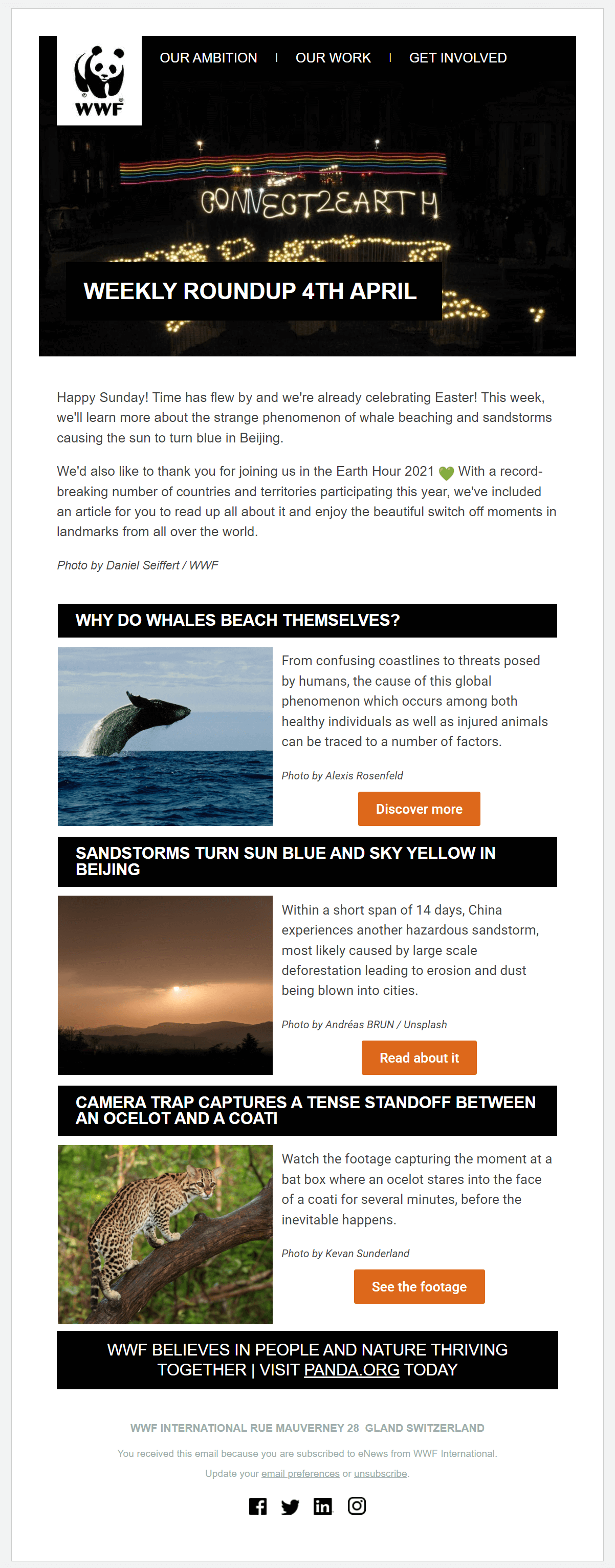 wwf email campaign for npo updates