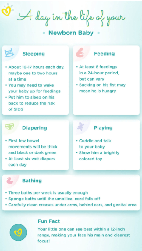 Pampers inforgraphic