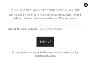 This image shows a signup example by Skagen