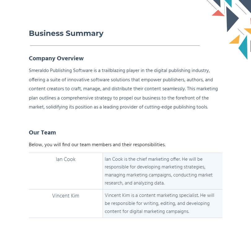 Business summary example with company overview and team members