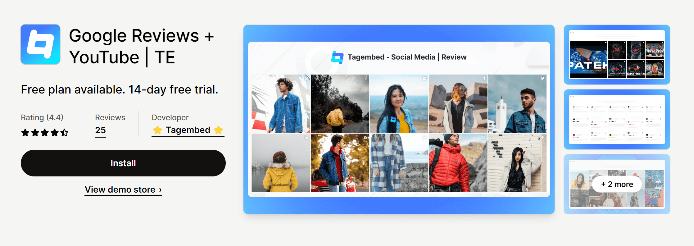 tagembed social media reviews app