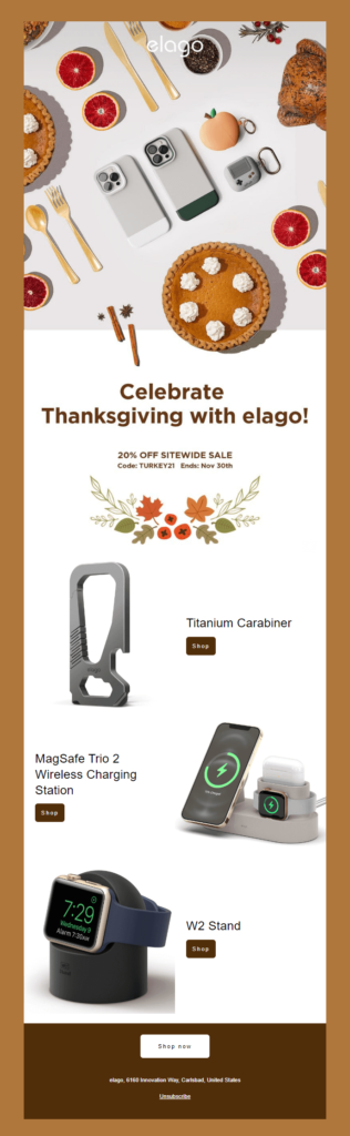 Elago Thanksgiving email campaign example