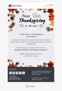 Stripo simple email Thanksgiving email template