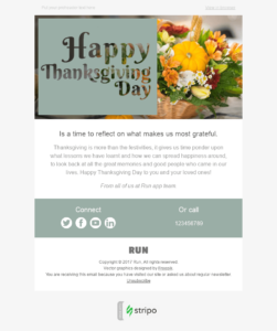 Thanksgiving holiday email template