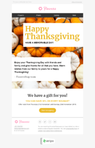 Stripo Thanksgiving gift newsletter template