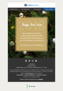 Stripo New Year email template