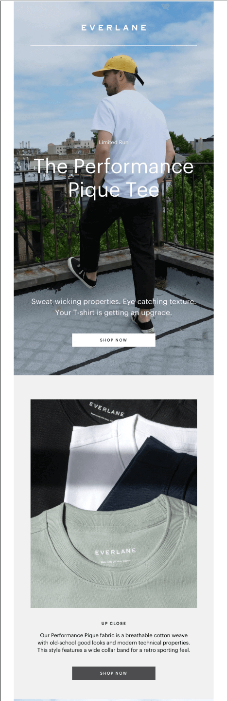 Everlane email newsletter