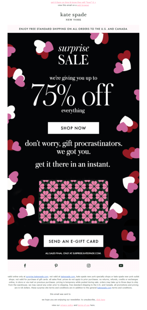 promotional Valentine's email campaign