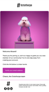 colorful account creation template