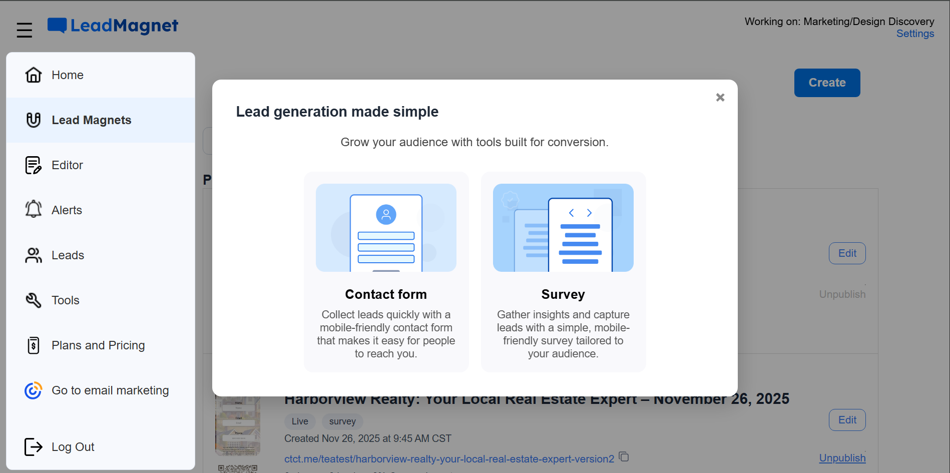 lead magnet contact form