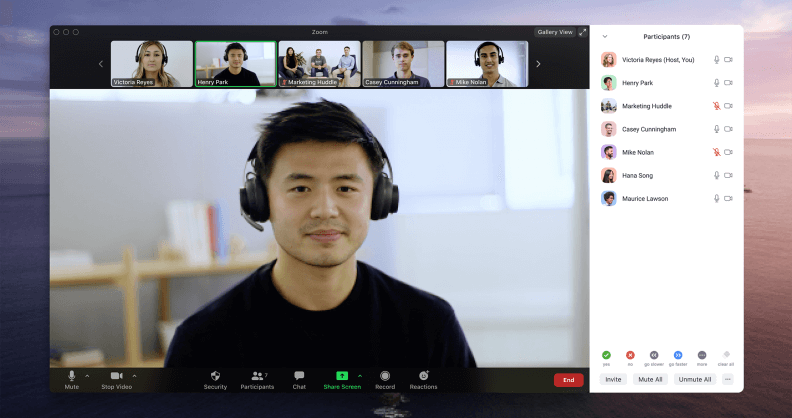 Zoom video conferencing software